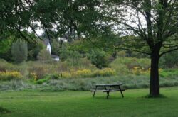 Explore Whitchurch-Stouffville's Unique Attractions For Free This Saturday