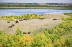Buffalo Pound Provincial Park: A Getaway For Hikers, Bikers, Boaters, and Campers