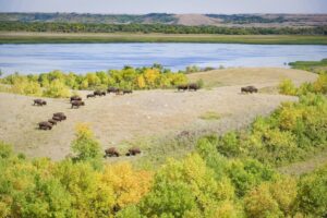 Buffalo Pound Provincial Park: A Getaway For Hikers, Bikers, Boaters, and Campers