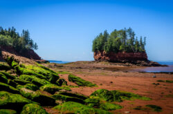 A Day at Burntcoat Head Park: Walk the Ocean Floor at the Place of World's Highest Tides