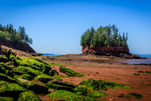 A Day at Burntcoat Head Park: Walk the Ocean Floor at the Place of World's Highest Tides