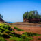 A Day at Burntcoat Head Park: Walk the Ocean Floor at the Place of World's Highest Tides