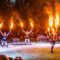 What to See & Do at Toronto International BuskerFest This Labour Day Weekend