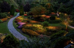 Fireworks & Summer Concerts: What to See & Do at Butchart Gardens This Summer 2026