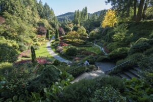 Things to Do in Victoria this September - 2026