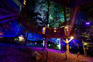 Illuminated Adventure Awaits at Treewalk Village in Stouffville This Winter