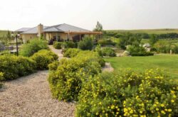Cypress Hills Vineyard & Winery, Maple Creek, SK
