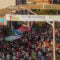 What to See & Do at Taste of the Danforth Festival This Weekend