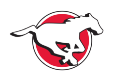 CSFC-Horse-Dot-Red