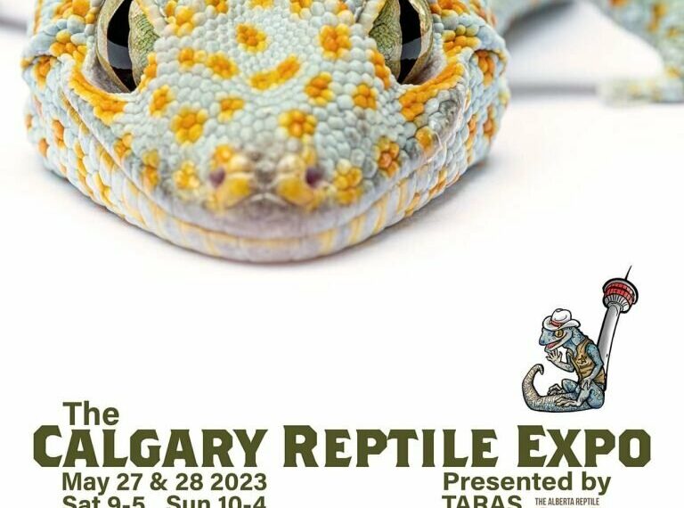 Spring Calgary Reptile Expo The Genesis Center 7555 Falconridge Blvd