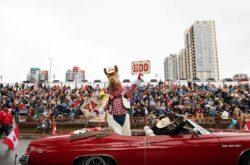 Summer Fun Guide 2025: 100+ Things to Do This Summer in Calgary