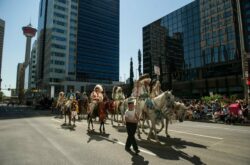 2026 Calgary Stampede Parade: What You Need to Know About Parking/Road Closures on July 3