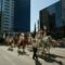 2026 Calgary Stampede Parade: What You Need to Know About Parking/Road Closures on July 3