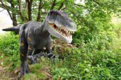 Reasons to Visit Canada’s Dinosaur Park Near Toronto