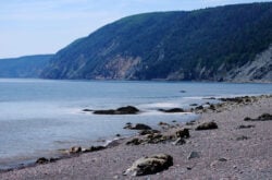 Cape Chignecto Provincial Park: Explore Nova Scotia’s Wild Coastal Escape