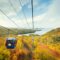 Cape Smokey Fall Colour Views: Discover the Magic of Cape Breton on a Gondola Ride