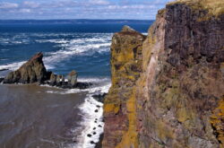 Explore Spectacular Cape Split Provincial Park - From Forest Trails to Dramatic Ocean Lookoffs