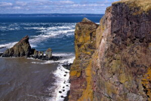 Explore Spectacular Cape Split Provincial Park - From Forest Trails to Dramatic Ocean Lookoffs