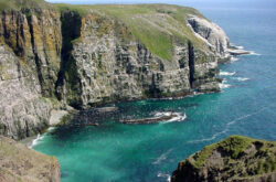 Cape St. Mary’s Ecological Reserve: Make the Best of Your Trip to This Birding Paradise