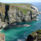 Cape St. Mary’s Ecological Reserve: Make the Best of Your Trip to This Birding Paradise