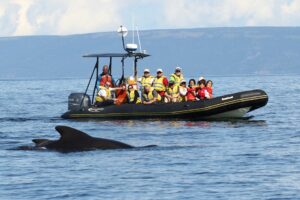 Top Things to Do in Cheticamp