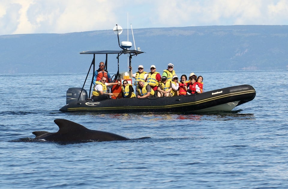 Top Things to Do in Cheticamp