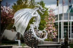 50 Things to Do with Kids in Kootenay Rockies