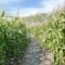 Cedar Creek Gardens