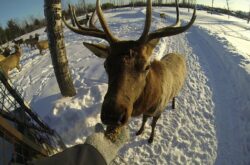 10 March Break Family Getaways in Northern Ontario