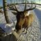 10 March Break Family Getaways in Northern Ontario