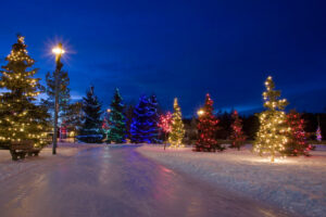 25 Things to Do during Winter in and around Parkland County
