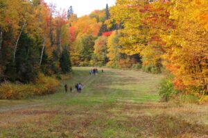 Things to Do This Fall in New Brunswick - 2025 Events, Festivals & Activities