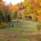 Things to Do This Fall in New Brunswick - 2025 Events, Festivals & Activities