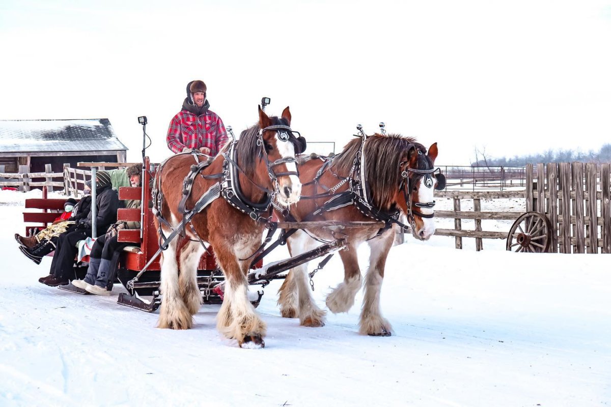 30+ Winter Date Ideas in Saskatoon