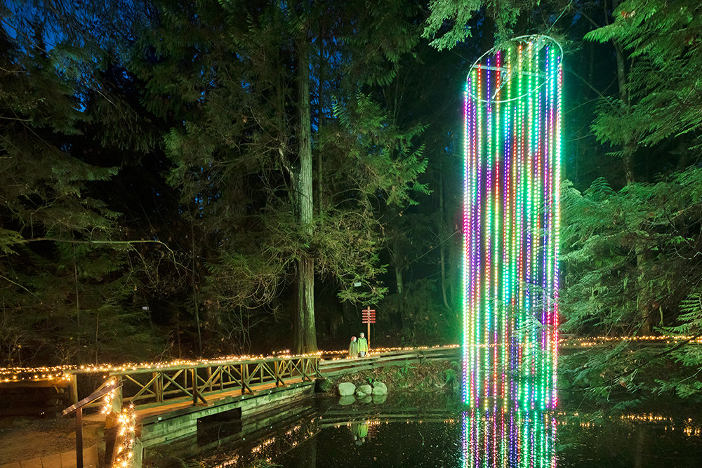 35+ Things to Do to Celebrate Valentines Day in Vancouver - 2022 | To