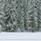 Things to Do During Winter Break - Christmas Holidays in Charlottetown