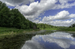 Chickakoo Lake Regional Recreation Area: 5 Things to Do on a Day Trip From Edmonton