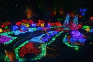 Things to Do on Christmas & Boxing Day in Victoria
