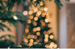 2025 Christmas & Holiday Activities in Cape Breton Island