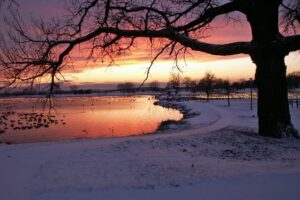 Things to Do during Winter/Christmas Holidays in Fredericton