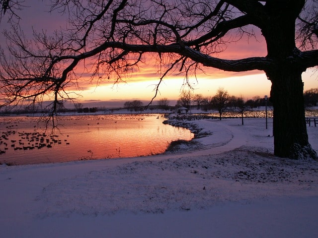 Things to Do during Winter/Christmas Holidays in Fredericton