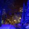 Christmas Lights Across Canada