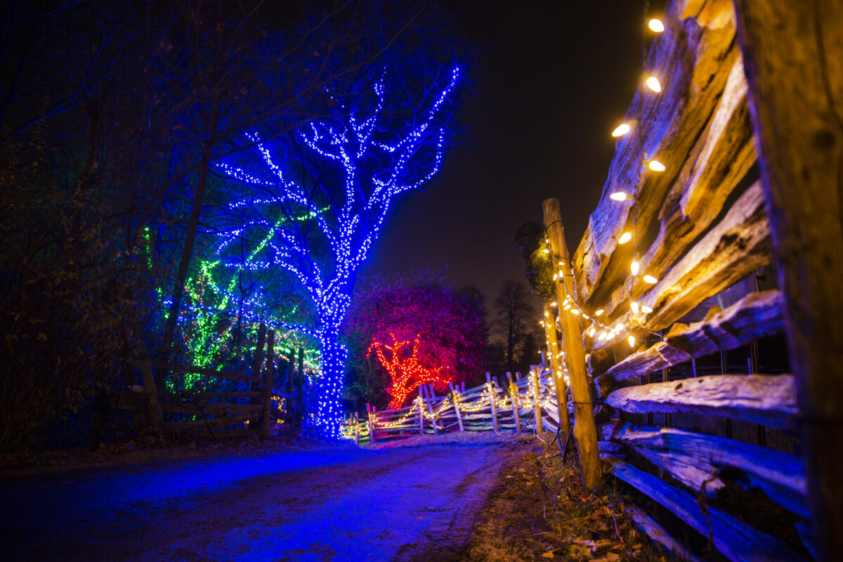 2022 Canadian Tire Christmas Trail Tickets For One of Toronto s