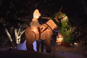 Christmas and Holiday Events in St.John's