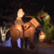 Things to Do: 2025 Christmas and Holiday Events in St. John's