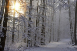 Things to Do on Christmas & Boxing Day in Charlottetown