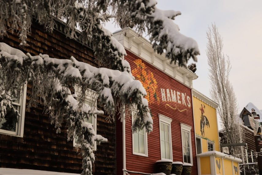 Christmas Market at Saskatoon Farm | The Saskatoon Farm, 338 Avenue