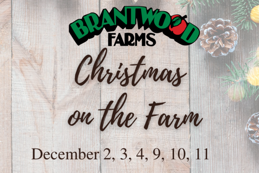 Christmas on the Farm