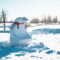 City of Leduc