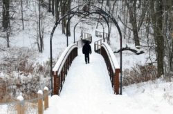 25 Things to Do Outdoors During Winter in York Region